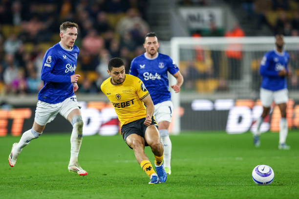 头羊的挑战 头羊的挑战