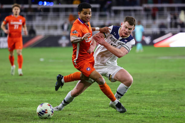 的新生力量 的新生力量