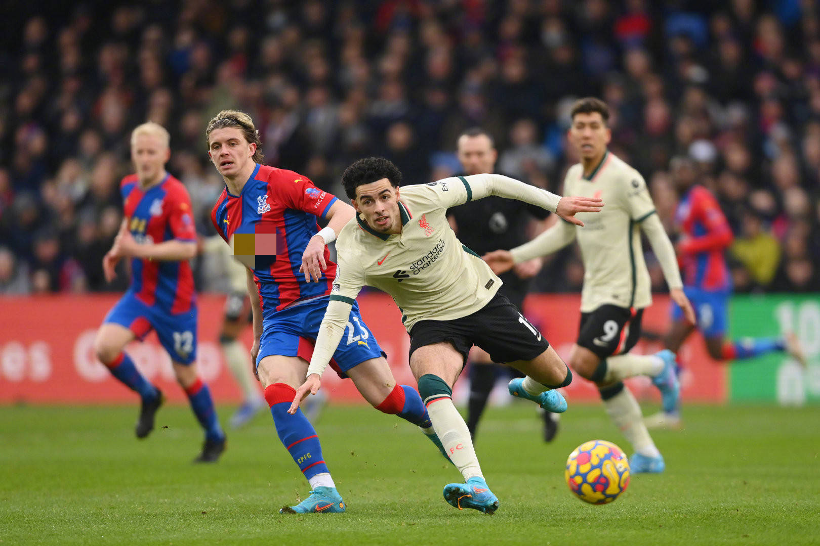 猎物的行动 猎物的行动