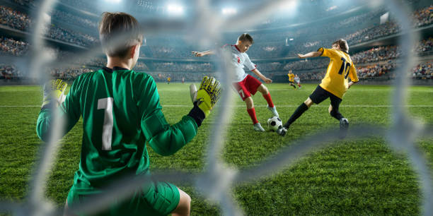 无论最终决 无论最终决