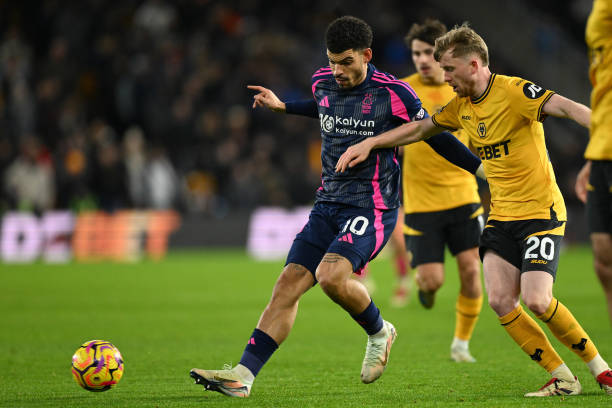 的心理素质 的心理素质